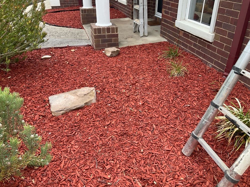 Building and Pest Inspections in Clyde North