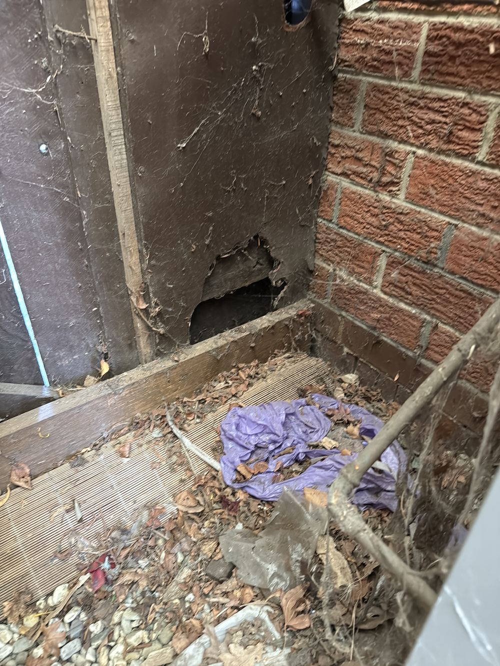 Debris and stored items under the house giving termites food and shelter, found during a building and pest inspection in Dandenong North
