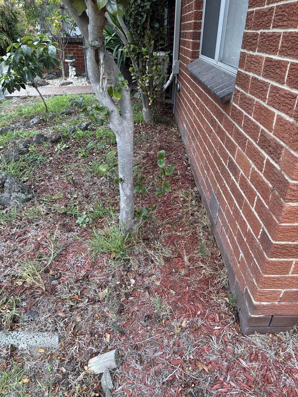 Water left to pond beside the footings because the ground does not drain away, found during a building and pest inspection in Dandenong North