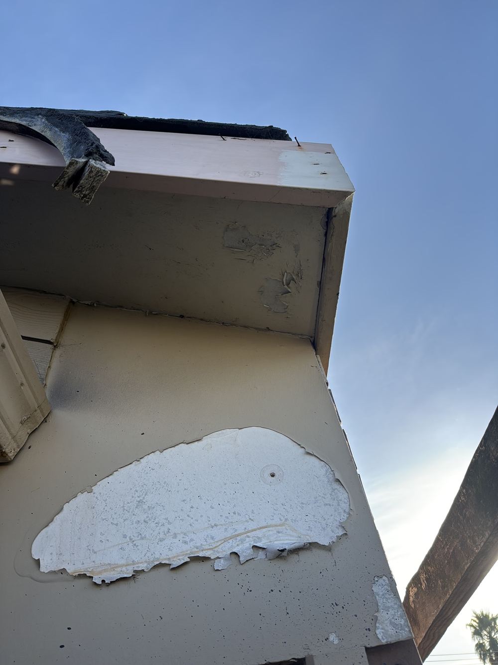 Paint lifting on eaves sheeting where moisture has been getting in, Aspendale Gardens, Clyde North