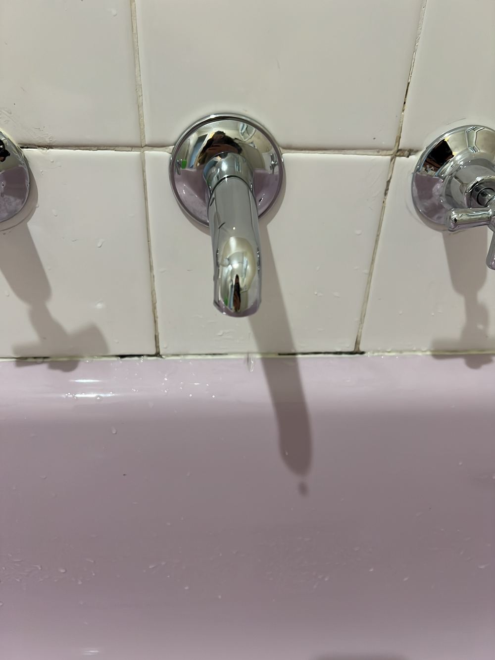 Mould and damp in a Clyde North rental